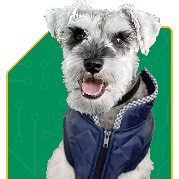 Headshot of a team member